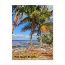 Bicicleta en la playa - Pine Island Florida