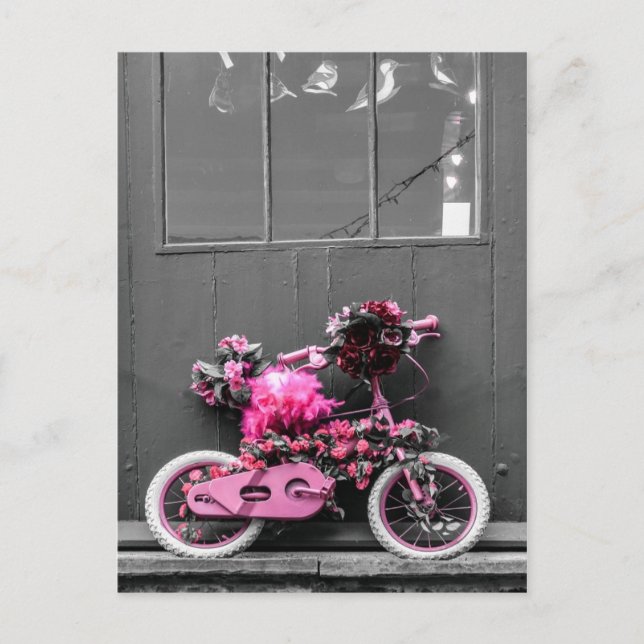 Postal Bicicleta rosa con flores y plumas rosas (Anverso)