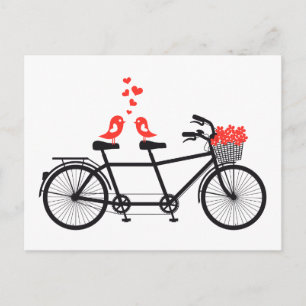 Postal bicicleta tándem con pájaros adorables