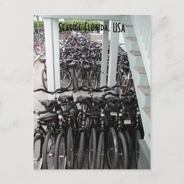 Postal Bicicletas costeras de Florida (Anverso)