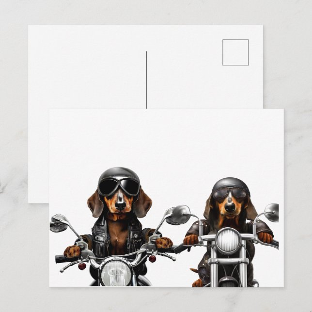 Postal Bicicletas Dachshund en bicicleta (Anverso / Reverso)