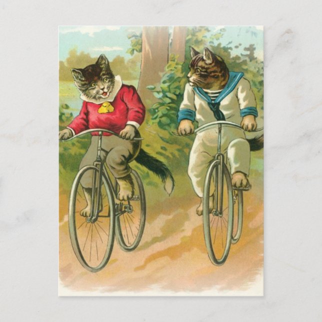 Postal Bicicletas para gatos (Anverso)