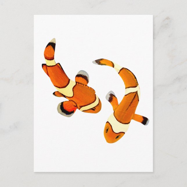 Postal Bickering Clowfish (Anverso)