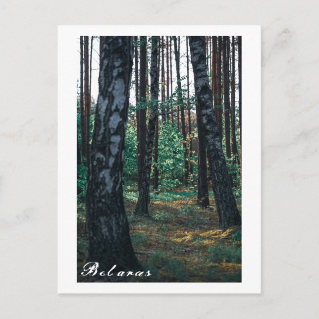 Postal Bielorrusia Postca (Anverso)