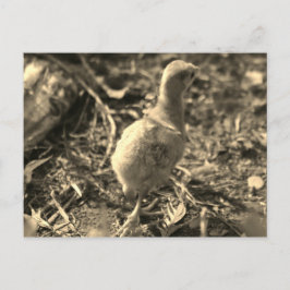 Postal ¡Bien, adiós! -