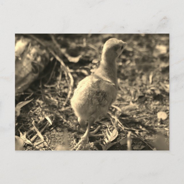 Postal ¡Bien, adiós! - (Anverso)