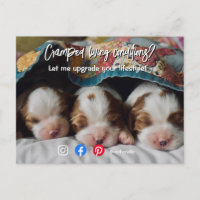 bienes raíces divertidos vivir apretado cachorro p