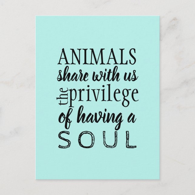 Postal Bienestar de los animales (Anverso)