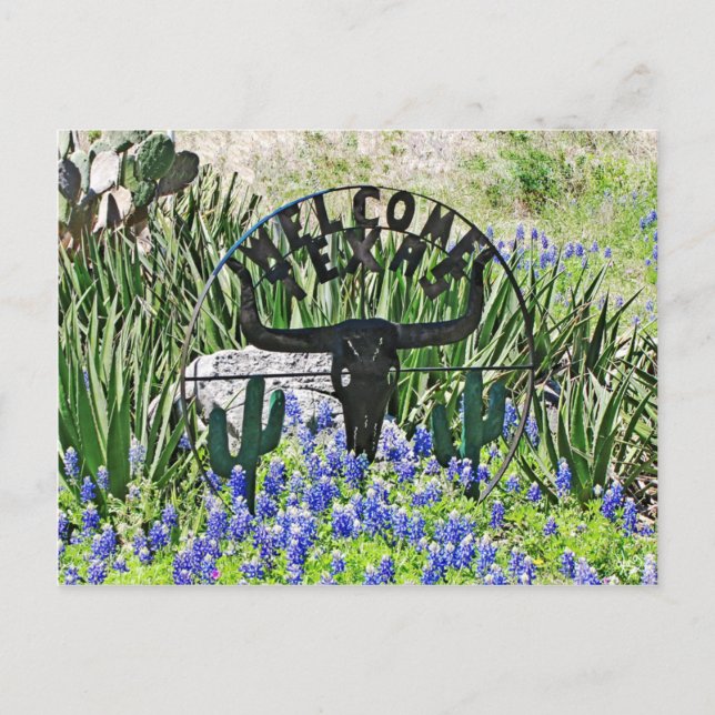 Postal Bienvenida a Texas Bluebonnet (Anverso)