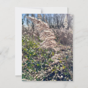 Postal Bienvenida de otoño.