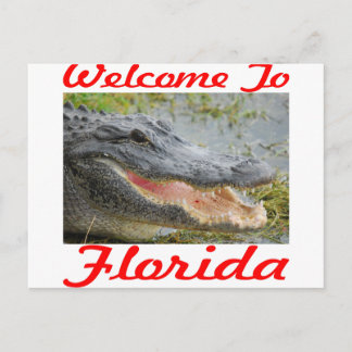 Postal Bienvenido a Gator de Florida