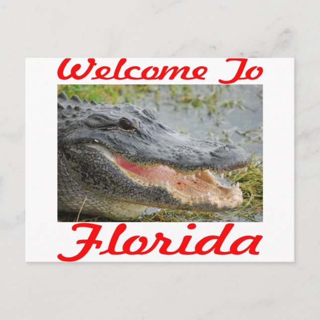 Postal Bienvenido a Gator de Florida (Anverso)