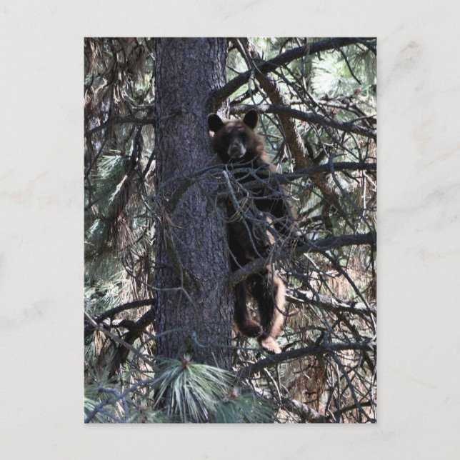 Postal Bienvenido a las hermanas (Anverso)