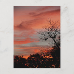Postal Bienvenido A Mi Cielo