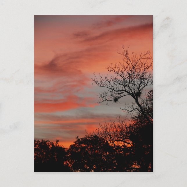 Postal Bienvenido A Mi Cielo (Anverso)