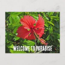 Bienvenido Al Paraíso Casa de Playa de Flores Trop