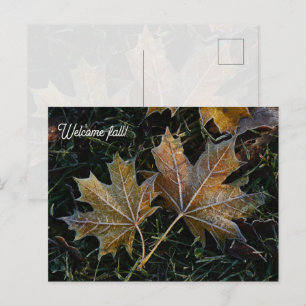 Postal Bienvenido hojas de otoño