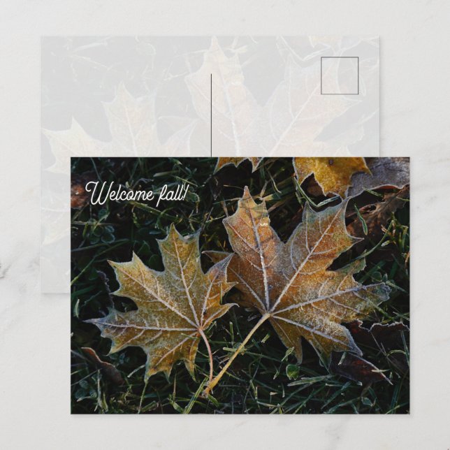 Postal Bienvenido hojas de otoño (Anverso / Reverso)