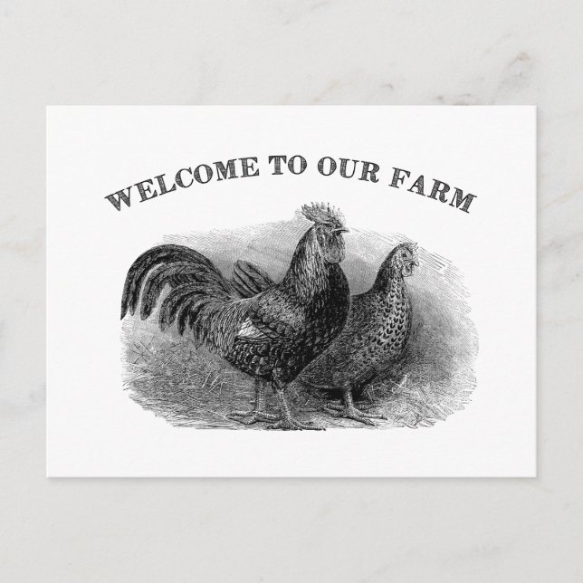 Postal Bienvenidos a nuestro gallo de cosecha y pollo (Anverso)