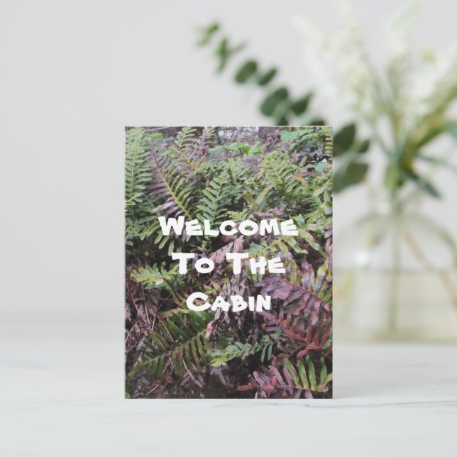 Postal Bienvenidos A Una Planta Forestal De Fotos De Cabi (Anverso de pie)