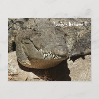 Postal ¡Bienvenidos Turistas! - Cocodrilo -