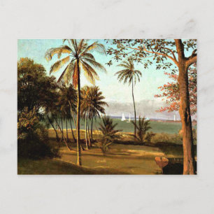 Postal Bierstadt - Escena de Florida