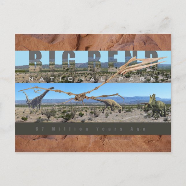 Postal BIG BEND NAT’L PARK-Texas-Exhibición de descubrimi (Anverso)
