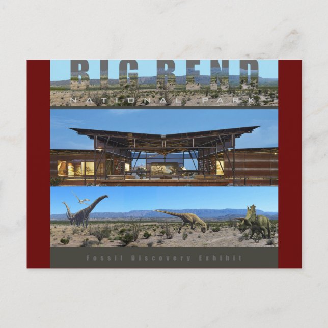 Postal BIG BEND NAT’L PARK-Texas-Fossil Exhibición- (Anverso)