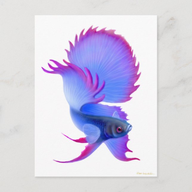 Postal Big Blue Betta Fish (Anverso)