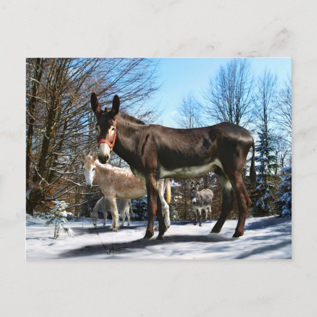 Postal "Big Boy & Company" (Anverso)