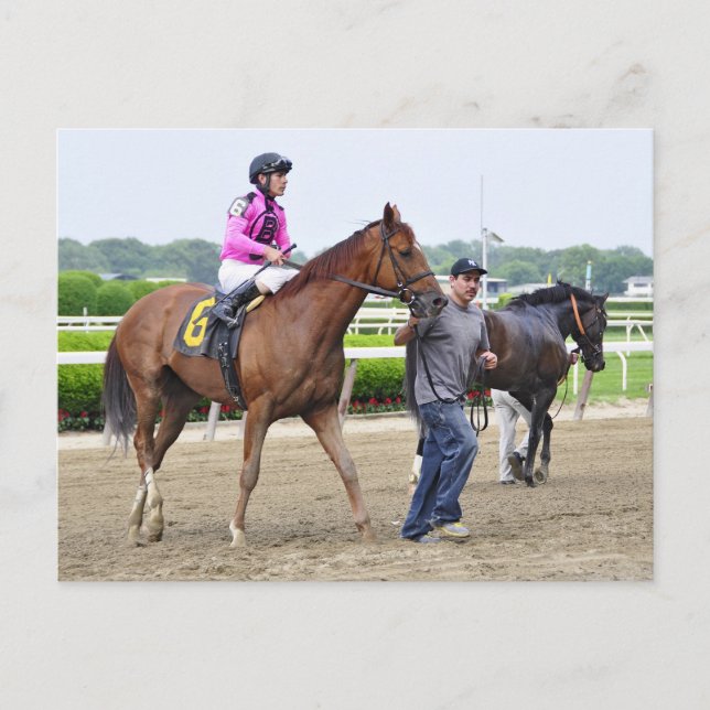 Postal Big Business, Belmont Park (Anverso)