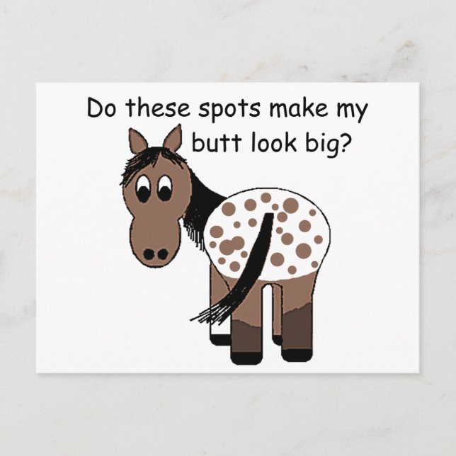 Postal Big Butt Blanket Appaloosa (Anverso)