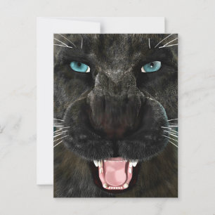 Postal Big Cat Black Panther