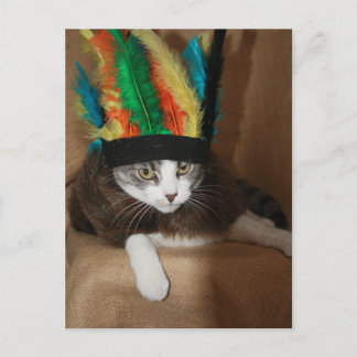 Postal Big Chief Mikie