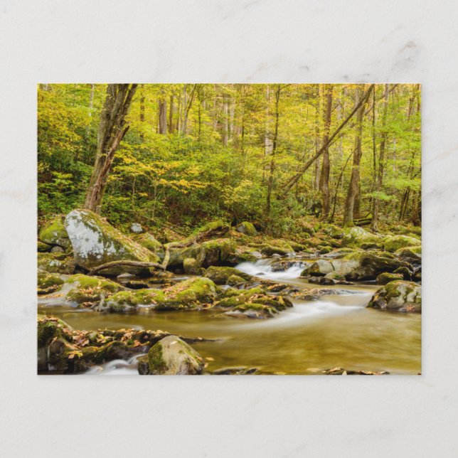 Postal Big Creek | Carolina del Norte (Anverso)