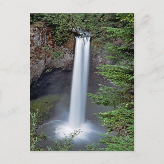Postal Big Creek Falls (Anverso)