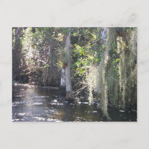 Postal Big Cypress
