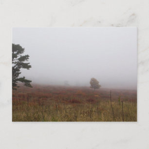 Postal Big Meadows, Parque Nacional Shenandoah, Virginia