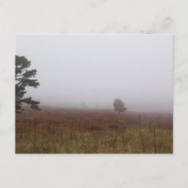 Postal Big Meadows, Parque Nacional Shenandoah, Virginia