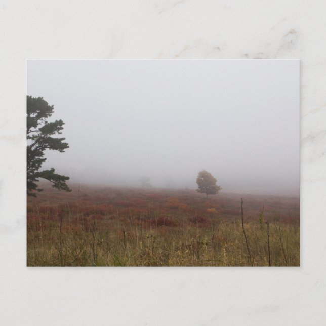 Postal Big Meadows, Parque Nacional Shenandoah, Virginia (Anverso)