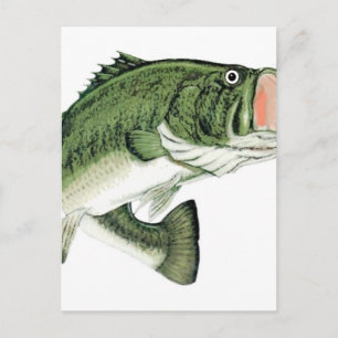 Postal Big Mouth Bass