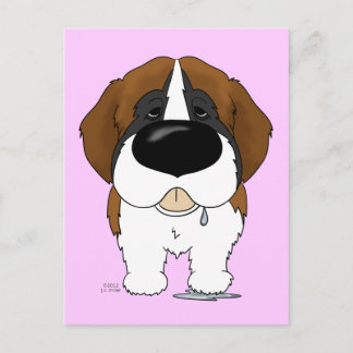 Postal Big Nose Saint Bernard
