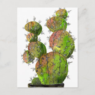 Postal Big Old Stingy Cactus