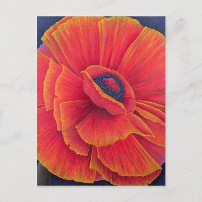 Postal Big Poppy 2003 (Anverso)