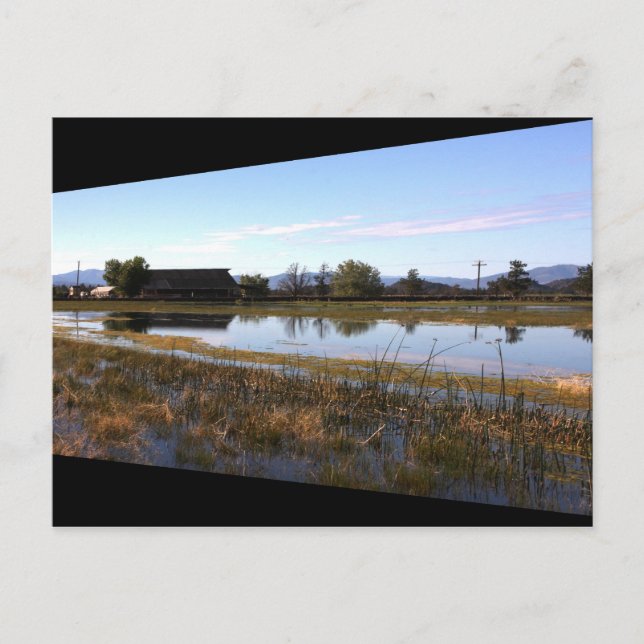 Postal Big Springs (Anverso)