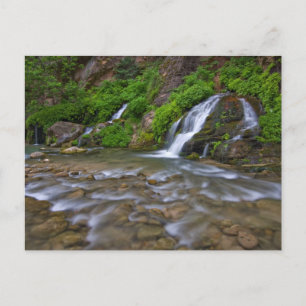 Postal Big Springs Virgin River Parque Nacional Zion