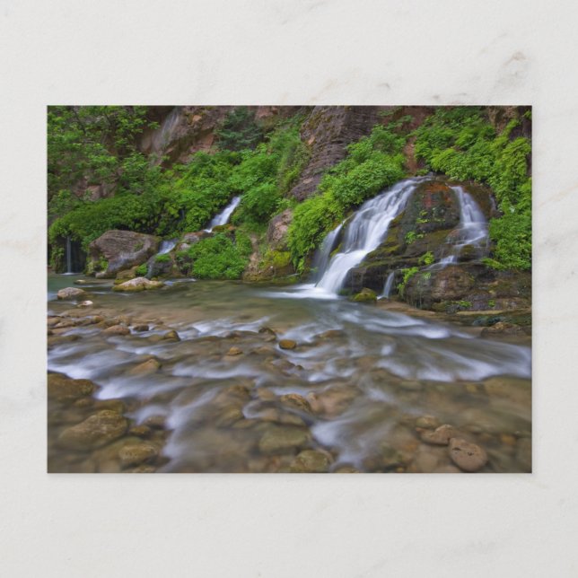 Postal Big Springs Virgin River | Parque Nacional Zion (Anverso)