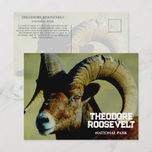 Postal Bighorn RaM, Parque Nacional Theodore Roosevelt, N