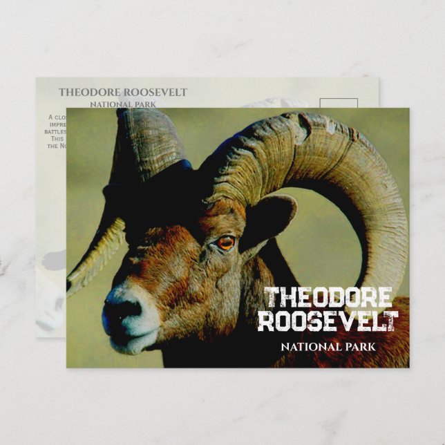 Postal Bighorn RaM, Parque Nacional Theodore Roosevelt, N (Anverso / Reverso)