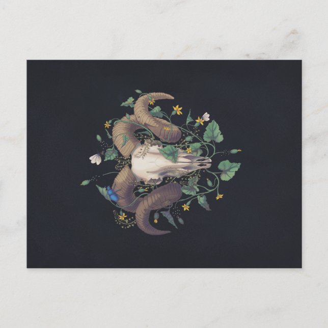 Postal Bildserie Leben Und Tod: Schafschädel (Anverso)